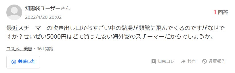 知恵袋のスチーマー相談スクリーンショット
